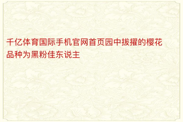 千亿体育国际手机官网首页园中拔擢的樱花品种为黑粉佳东说主