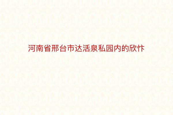 河南省邢台市达活泉私园内的欣忭