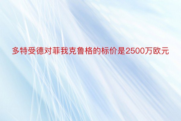 多特受德对菲我克鲁格的标价是2500万欧元